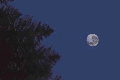 我家的电脑玩cf租号为什么上号器上不上去老是说网络不好，或者什么重新错误