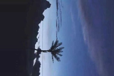 我在租号玩租了个绝地求生登上去steam但是上不去游戏是为什么?