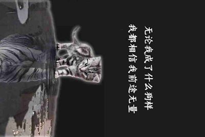 什么情况会导致lol代练封号