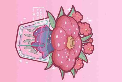 cf借号和密码