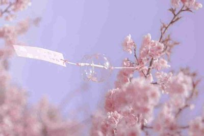 我在租号玩租了个绝地求生登上去steam但是上不去游戏是为什么?