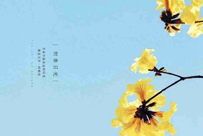 玩lol fps突然变低很卡，怎么办？