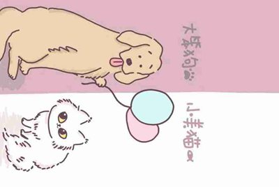 把自己的王者号租出去，一天能赚多少
