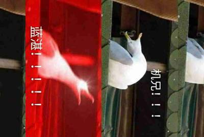 王者荣耀的号怎么借别人玩