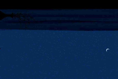 我在租号玩租了个绝地求生 登上去steam 但是上不去游戏是为什么