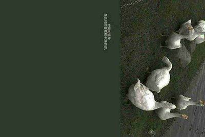 王者荣耀那个租号平台好？