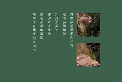 王者荣耀那个租号平台好？