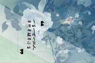 租号玩英雄联盟怎么租号啊，上号流程是什么?