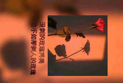 《王者荣耀》代练有多赚钱