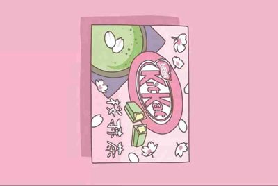 租个号大概多少钱？玩cf租号平台哪个好一点？