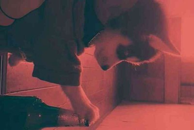 cf租号为什么价格都是一元