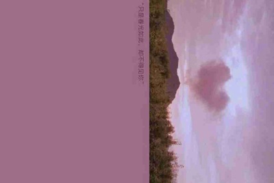 租号玩英雄联盟怎么租号啊，上号流程是什么?