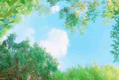 ￼本人主播刚换苹果手机谁的王者荣耀苹果号借我）直播明天早上直播上分谢谢