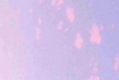 CF怎么租号玩？上号的流程是什么？