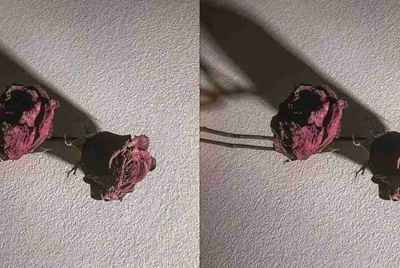 《王者荣耀》租号平台有哪几家？