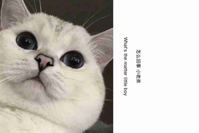 CF怎么租号玩？上号的流程是什么？