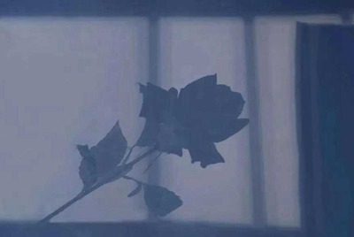 大哥们随便给个苹果王者号,不需要贵族,有一些基本英雄就行