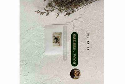 王者荣耀租号有哪几个平台 不要工作室，靠谱的来？