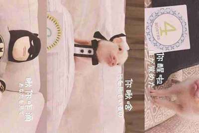 穿越火线手游体验服官网