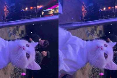 绝地求生怎么过租号器