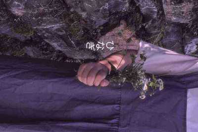 王者荣耀租号有哪几个平台 不要工作室，靠谱的来？