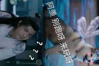 有王者荣耀贵族8的号，借我玩吗？绝不盗号。我很讲信用。