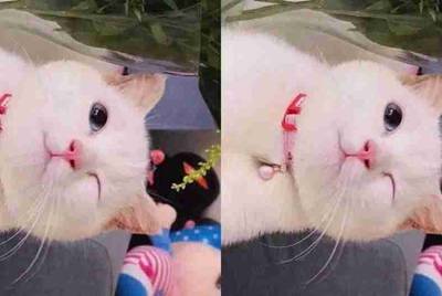 谁有LOL的号借我玩玩