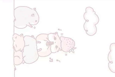 租号玩英雄联盟怎么租号啊，上号流程是什么?