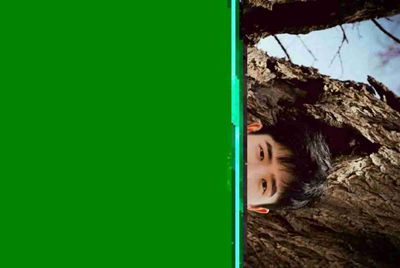 我租号，LOL用上号器登陆会不会被别人恶搞封号呀？太过分了为什么连妹子都号都要搞。