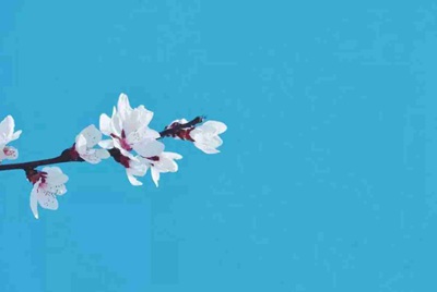 租号玩英雄联盟怎么租号啊，上号流程是什么?