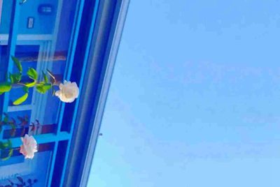 我把我的gta5账号租到租号玩上面去，需要关闭steam令牌吗？