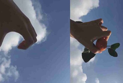 租号玩英雄联盟怎么租号啊，上号流程是什么?