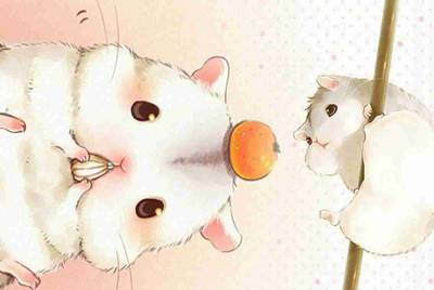 交易猫上怎么把号租给别人啊