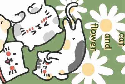 租号玩网吧steam登不上去