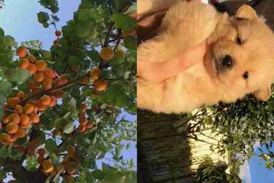 手机上有什么比较好用的组号软件？ 不用5173或者交易猫。