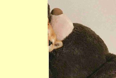 请教关于服务器使用影子系统软件的问题？