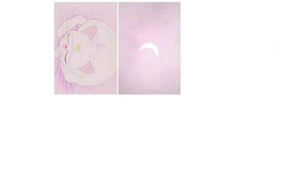 在租号玩APP上把号租出去了，如果别人开挂号被封我作为号主会得到赔偿吗