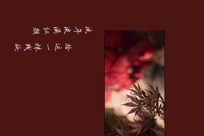 租号玩提现到支付宝为什么给我冻结了