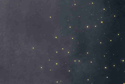 租号玩快速上号怎么操作，一直失败？