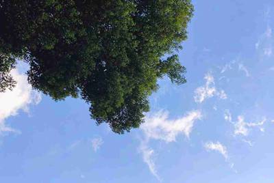 企业如何申请支付宝，微信等接口