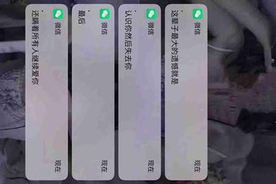 租号玩租用了一个游戏账号，怎么找它的订单号啊