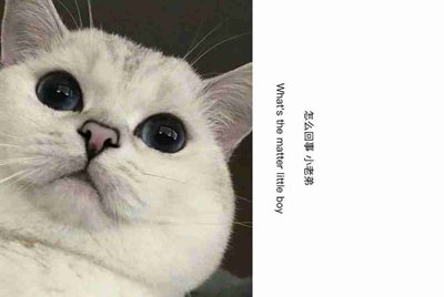 绝地求生通过上号器，上的号能不能开挂？