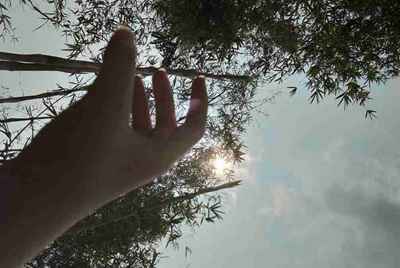 租号玩进不去