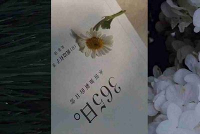 租号玩进不去