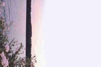 租号玩怎么租QQ飞车的号啊？有用过的大神说下吗