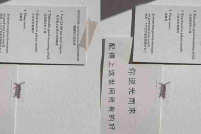 租号玩上号器安全不