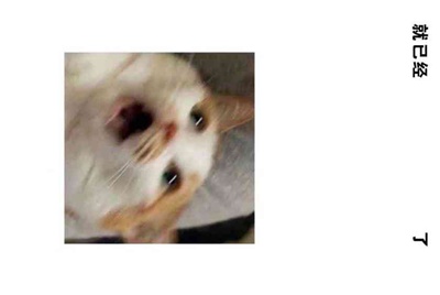 交易猫上怎么把号租给别人啊