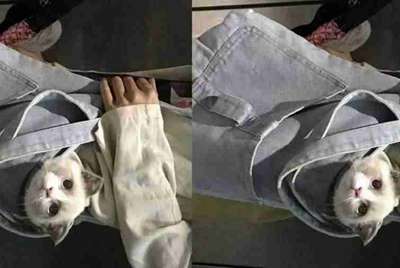 欧洲卡车模拟2怎么才能开客车啊，都快急死了！！！