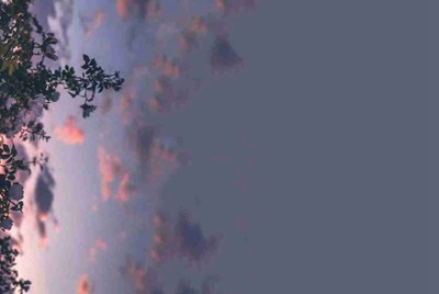 cf租号玩不可用金额是什么意思