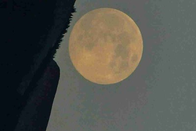 绝地求生辅助怎么过租号玩检测